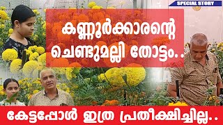 വീടിന്റെ മട്ടുപ്പാവിലെ ചെണ്ടുമല്ലി തോട്ടം കാണാം|CHENDUMALLI