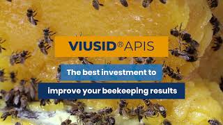 VIUSID APIS:  The best investment to improve your beekeeping results.