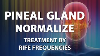 Pineal Gland Normalize - RIFE Frequencies Treatment - Energy \u0026 Quantum Medicine with Bioresonance