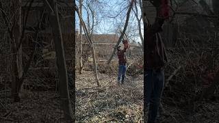 Sticks and Stone GOING to break my bones! MASSIVE property cleanup #asmr #propertycleanup #abandoned