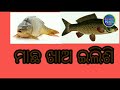 ଆସ ଆମେ ପାଞ୍ଚ କ ପଣଖିଆ ଶିଖିବା ।