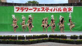 Moemoeaa Tahitian Dance Studio　フラワーフェスティバル由木 2023　モエモエア タヒチアンダンススタジオ　タヒチアンダンスショーFlower Festival YUGI