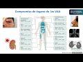 Guía para el Tratamientos de la Vasculitis asociada a ANCA - Dr. Andrés Ramírez