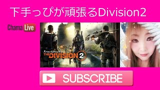 Division 2／ディビジョン2／装備厳選したいけど分からぬチキンプレイw