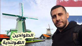 زرت الريف الهولندى | مدينة الطواحين الهولندية والأرياف فى هولندا