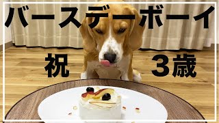 【祝3歳】ハンバーグは飲み物です！