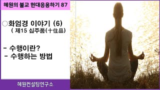 [혜원의 불교 현대응용하기] 87. 화엄경(6). 십주품(수행주)- 수행하는 방법-