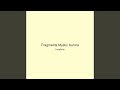 Fragments Mystic Aurora