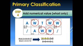 #Fingerprint #ClassificationSystem #Henry FBI #Primary Classification (Part 2)