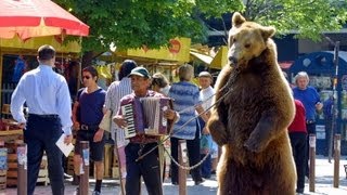 Der letzte Tanz - Die Befreiung der bulgarischen Tanzbären Goscho und Bobby