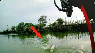 Menjelajah Spot Mancing Irigasi Mangkang Semarang | Lady Angler