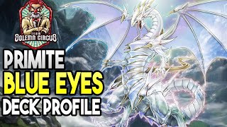 Yu-Gi-Oh! Primite Blue-Eyes Deck Profile