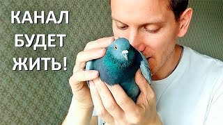 Канал РАЙС И КОМПАНИЯ будет жить!!!