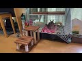 【ちゃま気ま】082 うさぎハウス増築ＤＩＹ🛠🏘🐰《前編》