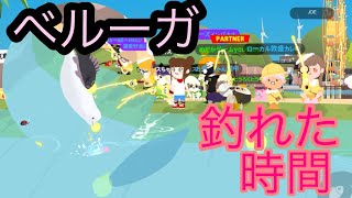 PLAY TOGETHER　  一緒に遊ぼう　攻略　釣り　ベルーガ　釣れた時間　アプデ　新種　魚　#medakagames #playtogether  #fishing