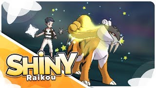 [Live] Shiny Raikou in only 212 Soft Resets in Ultra Sun!