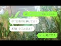 【line】dqn弟「引きこもりは家の汚点だ！追い出してやる！」引きこもりニートの兄を追い出した弟の末路…ｗ