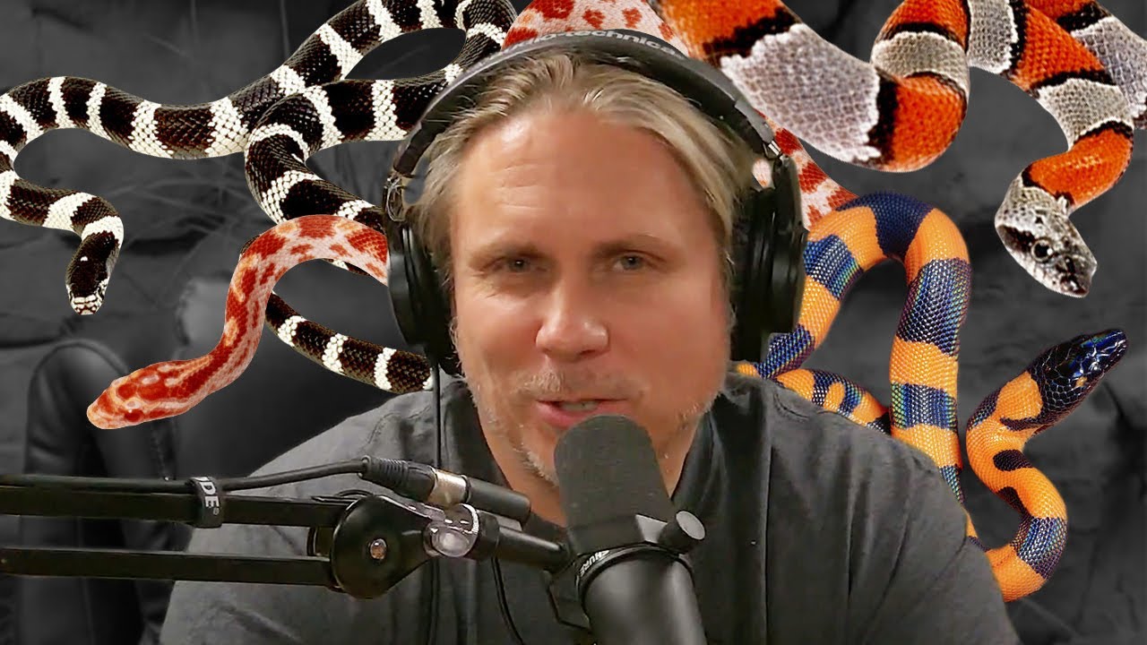 Brian Barczyk Snake Talk Youtube