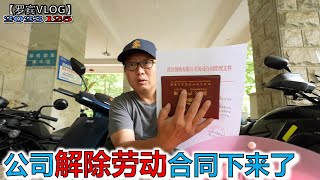 终于终于终于！公司离职报告下来了，准备去办理失业金【罗宾VLOG】