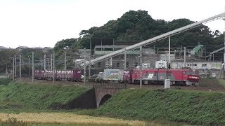 【JR貨物】８０５８レ ＥＨ５００-６９ 東札幌日通コンテナ積載