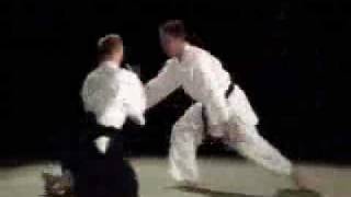 Excellent Aikido Demonstration