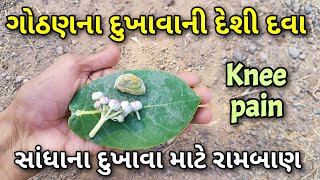 ગોઠણના દુખાવાની આયુર્વેદિક દવા || સાંધાના દુખાવામાં રામબાણ || knee pain relief #jointpain