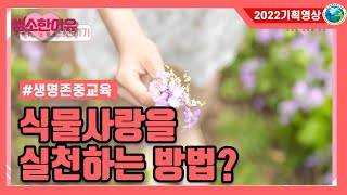 [생명존중교육] 식물 사랑을 실천하는 방법? ♥활동지 하단링크♥