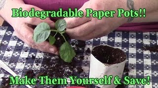 Biodegradable Paper Pots Make Them \u0026 Save