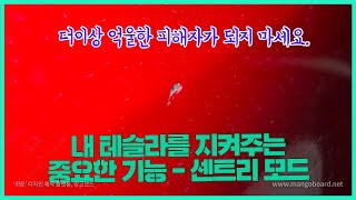 테슬라에 필수로 사용해야 하는 기능 - 센트리모드(감시모드)