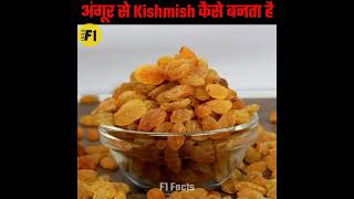 अंगूर से kishmish बनने का पूरा प्रोसेस|| Kishmish kaise bante hai ||F1 Facts||#f1facts #shorts