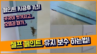 페인트 시공후 1년! 어떻게 변했을까? 셀프 페인트 유지 보수 하는법을 알려드려요.