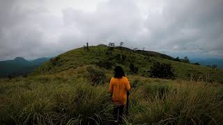 Idukki Explore | Microwave Viewpoint | Quik video