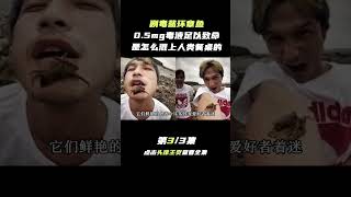 Pt3/3 蓝环章鱼毒性有多可怕？据说它们出没的海水，都有毒！【科普任意门】#shorts