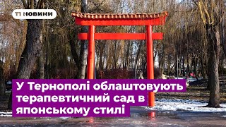 У Тернополі облаштовують терапевтичний сад в японському стилі