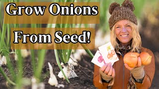 Planting Onions from Seed Made Easy: Short-Day vs. Intermediate vs. Long-Day Onions