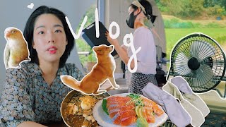 #218 Vlog I 투잡러 일상 I 새 식탁🔥 I 샐러드와 연어 I 재봉틀로 소품 만들기 I 바질🌱 요즘 보는 톨레 I 김갈릭