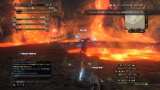 DDON　イフリート限界域　ウォリアー2,12,27