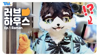 프테일 러브하우스 #퍼슈트 #프테일 #vlog  | Project Tail Vlog