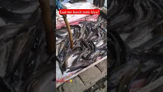 Fish  Amazing video#. machli video# fisharket dholewal Ludhiana Punjab nisha d vipin Raj vairal