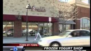 DUBLIN WSYX Menchie's.wmv