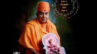 Sant Te Swayam Hari 3  Pujya Gnanvatsal Swami