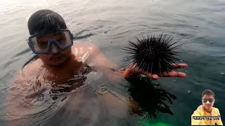 समुद्रातून मेरावळे कसे काडतात  #fishing #fish #fishingvideo #fishinglife #seafood #sea #islandlife