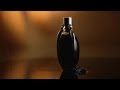 Lady Gaga - Fame - New commercial