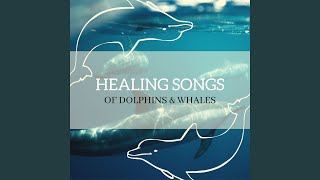 Healing Songs of Dolphins & Whales