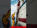 fishermen catch giant snake in the ocean monster anaconda snake ocean