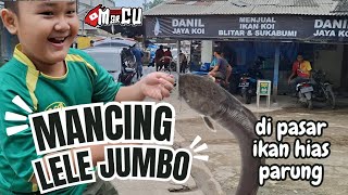 MANCING IKAN LELE GEDE DI PASAR IKAN HIAS PARUNG