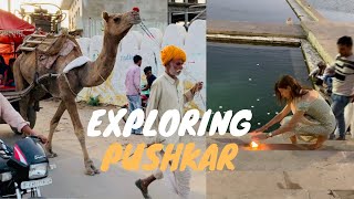 Exploring PUSHKAR, INDIA I Temples, Holy Lake and Market Tour + More!