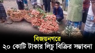 বিজয়নগরে ২০ কোটি টাকার লিচু বিক্রির সম্ভাবনা | Lychee | Brahmanbaria | RisingBD