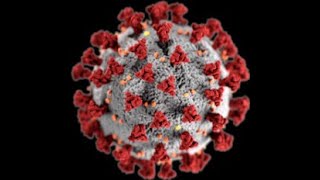 the covid vaccine fraud. 2025.