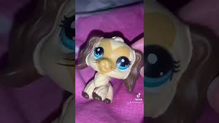 LPS Cocker Spaniel from Aliexpress! #lps #littlestpetshop #haul #toy #aliexpress  #nostalgia